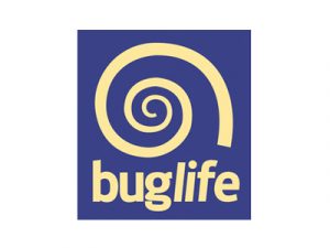 Buglife charity